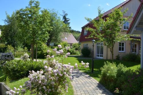 a garden in front of a house with pink flowers at Hasseröder Ferienpark in Wernigerode