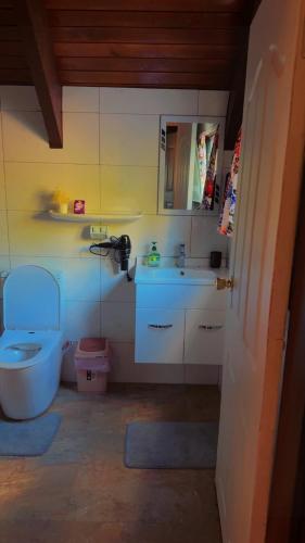 a bathroom with a toilet and a sink at MIRZ Accomodation in Pacific Harbour