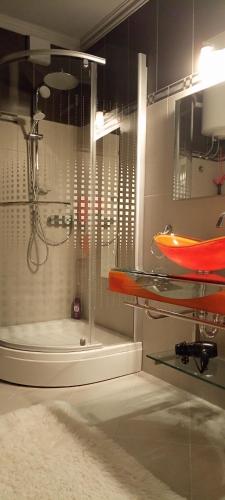 Luxury apartment SIRENA 1 Centre Netflix