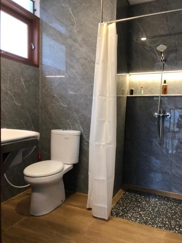 a bathroom with a toilet and a shower at Dwell Guesthouse Dago in Ciburial