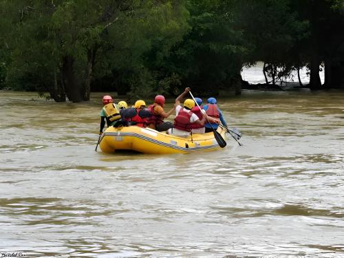 Permandangan sungai dekat dengan homestay
