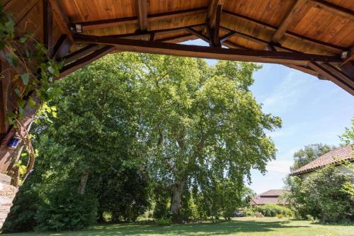 a view of a tree from under a wooden structure at Gite du platane in Bélis