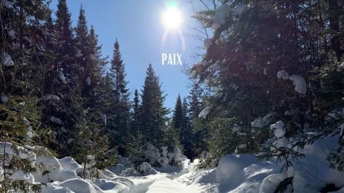 a snow covered forest with the sun shining through the trees at Domaine Bonheura - Spa & Swimming Pool in Val-David