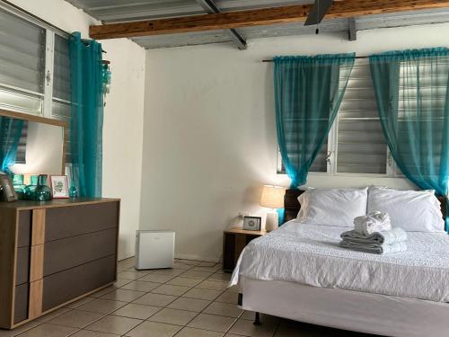 a bedroom with a bed with blue drapes at Arecibo's country cottage in Arecibo