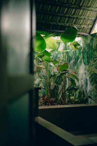 a room with a bunch of plants at Asteya in Varkala