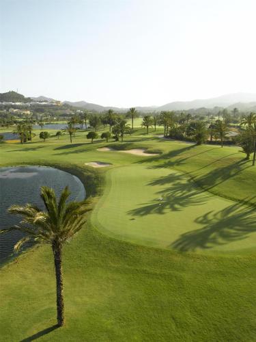 a palm tree in front of a golf course at Grand Hyatt La Manga Club Golf & Spa in La Manga del Mar Menor