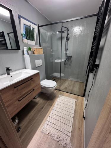 a bathroom with a shower and a toilet and a sink at Ateliér Smutná in Ostrava