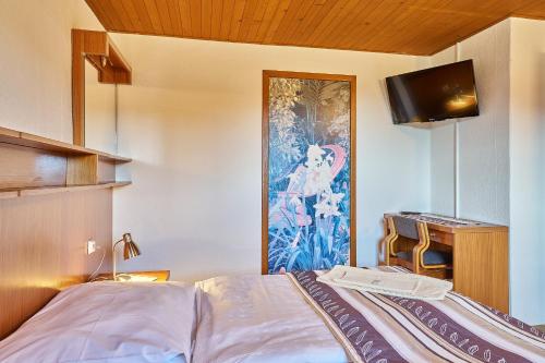 a bedroom with a bed and a tv on a wall at Hotel Bouda Jana in Pec pod Sněžkou