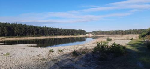 a body of water with trees in the background at Leśny Relaks in Krasiejów