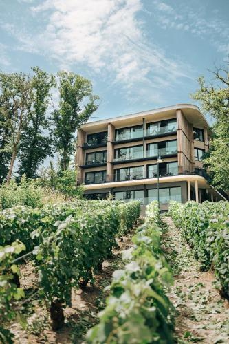 a building in the middle of a field of plants at LOISIUM Wine & Spa Hotel Champagne in Mutigny