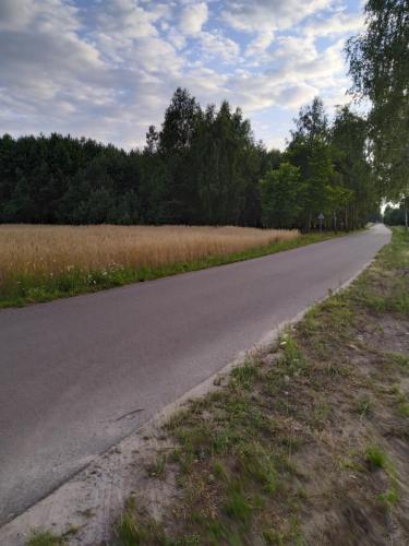 Příroda nedaleko apartmánu