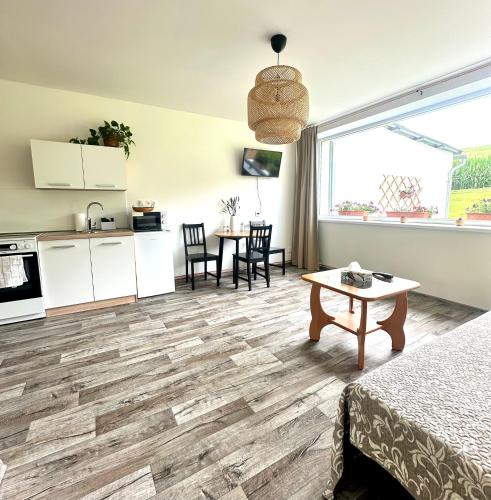 a room with a kitchen and a living room at Dolpo 55 in Benešov