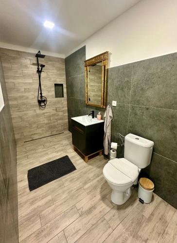 a bathroom with a toilet and a sink at Dolpo 55 in Benešov