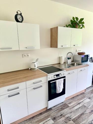 a kitchen with white cabinets and a stove top oven at Dolpo 55 in Benešov