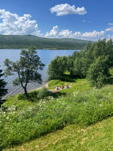 a group of people sitting on the shore of a lake at Strandgården Fjällnäs in Tänndalen