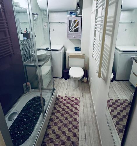 une petite salle de bain avec douche et toilettes dans l'établissement Centre ville Appartement 4 personnes, à Cauterets