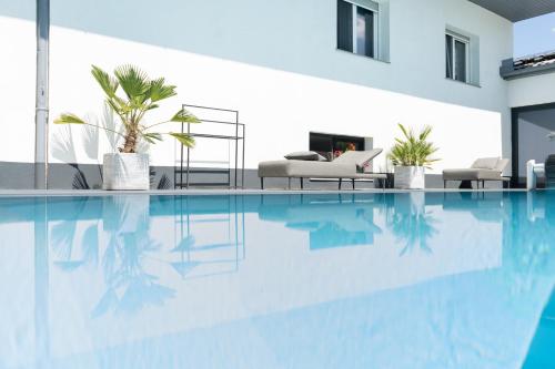 a swimming pool with plants in a house at KRACHER Guesthouse No 8 - inklusive Pool in Illmitz