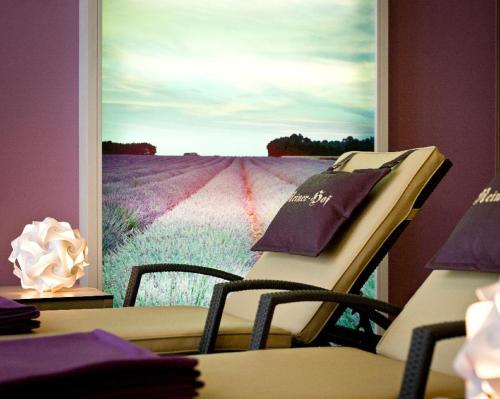a room with a window with a picture of a field at Hotel Reinerhof in Sankt Englmar