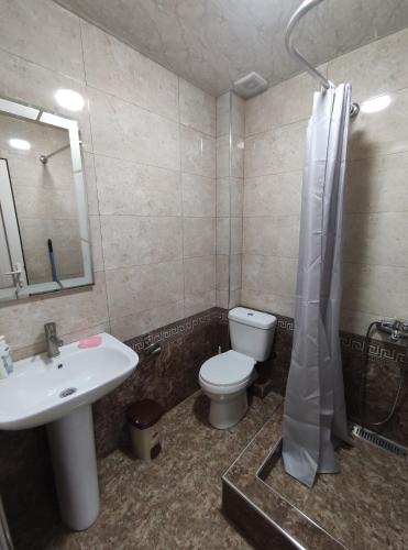 a bathroom with a sink and a toilet and a shower at MITANE in Sisian