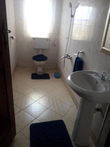 a bathroom with a toilet and a sink at Ikirunga View Homestay Kisoro in Kisoro