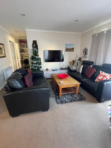 a living room with a black couch and a christmas tree at Cosy Cottage in Wellington
