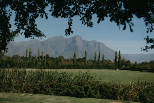 a view of a field with a mountain in the background at La Paris Estate in Franschhoek