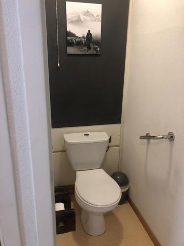 a bathroom with a toilet and a picture on the wall at Balcons B 011 - PARC NAT VANOISE appart 6 pers in Val Cenis