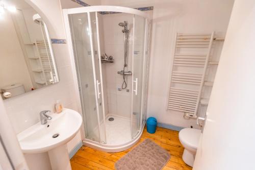 a bathroom with a shower and a sink and a toilet at La Sellerie in Cour-Cheverny