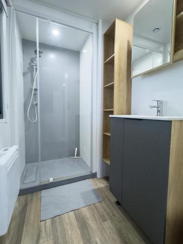 une salle de bain avec une douche, un lavabo et des toilettes dans l'établissement Domaine Les Acacias, à La Ville-aux-Dames
