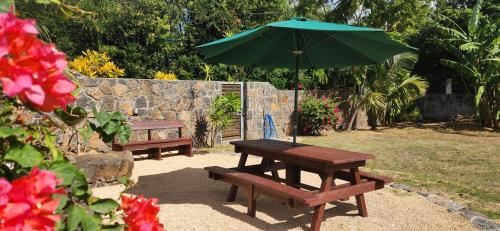 two benches and a green umbrella in a yard at La Maison d'Isa in Albion