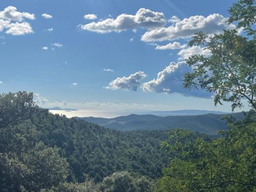 a view of a valley with trees and clouds at Nido d'Arte in Tirli