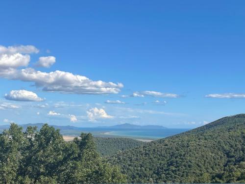 a view from the top of a mountain with trees at Nido d'Arte in Tirli