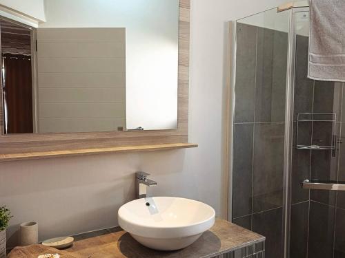 un bagno con lavandino e doccia di Muirfield Cottages a Clarens