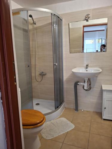 Un baño con ducha, inodoro y lavabo. en Villa Christina, en Mielno