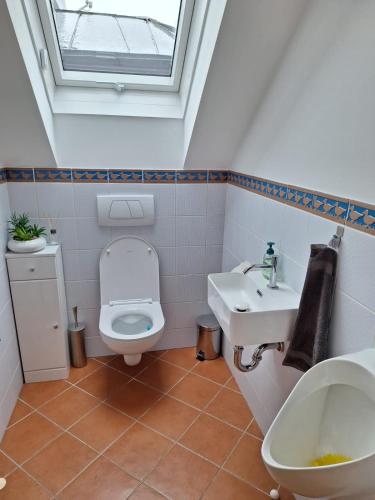 a bathroom with a toilet and a sink and a window at Ferienwohnung Kampesberg 