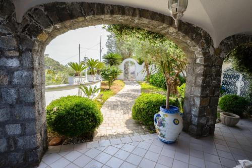 Villa Anna photo 3