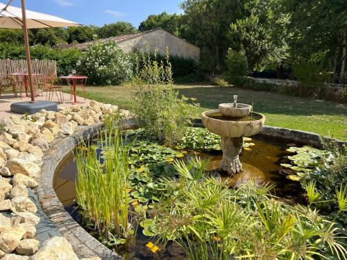 a garden with a fountain and a pond with plants at Sainte Raphine in Fargues-Saint-Hilaire