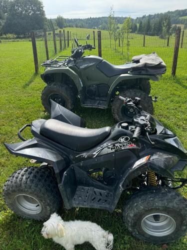 two atvs and a dog are parked in a field at Beautiful 1 bedroom village house among fields 