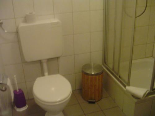 a small bathroom with a toilet and a shower at Hotel Bayerischer Hof in Wiesau