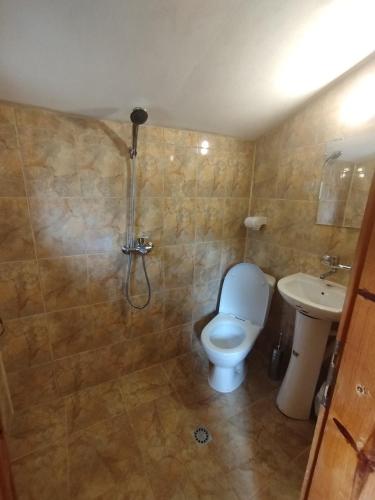 a bathroom with a toilet and a sink at Къща за гости Аврамови in Ribarica