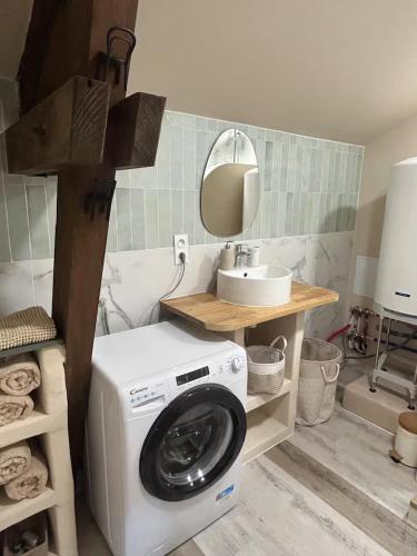 a washing machine in a bathroom with a mirror at Maison 4 personnes, TV connectée in Joinville