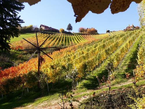 a vineyard with a windmill in the middle of a field at Weingut Stoff in Kitzeck im Sausal