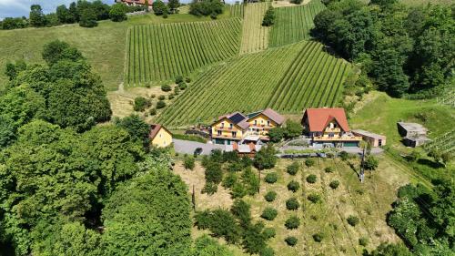 an aerial view of a house on a hill at Weingut Stoff in Kitzeck im Sausal