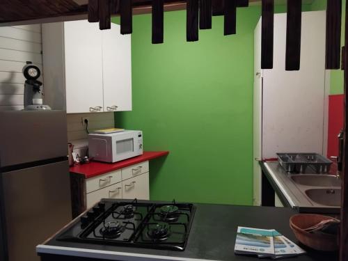 Kuchyň nebo kuchyňský kout v ubytování studio parc du Vercors