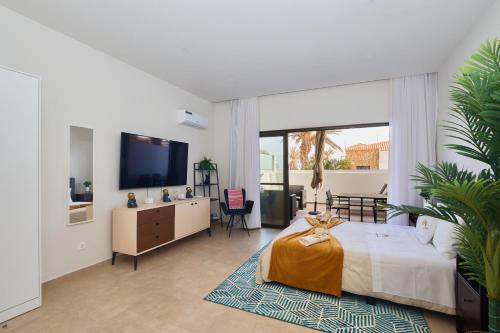 a bedroom with a large bed and a tv at Apartamentos Golfinho Dourado in Santa Maria