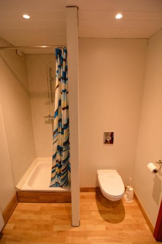 a bathroom with a toilet and a shower at Bragdavellir Holiday Home in Djúpivogur