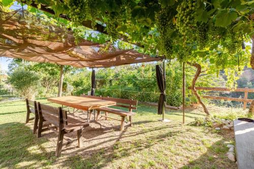 Taman di luar Casa Marco - Hospitality in a rural enviroment