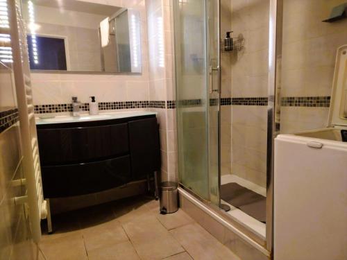 une salle de bain avec douche et lavabo dans l'établissement Appartement confortable à proximité du centre ville, à Reims