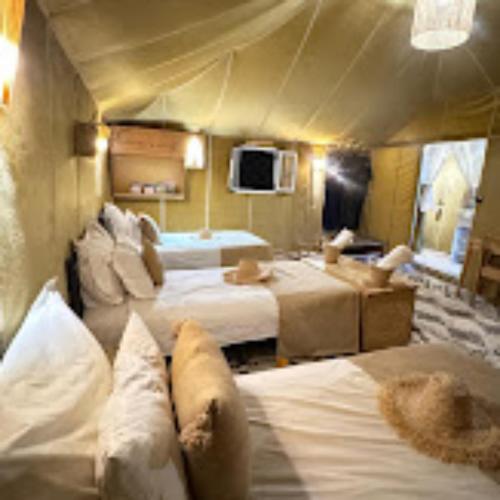 Gallery image of Erg Chebbi camel Trek camp in Merzouga