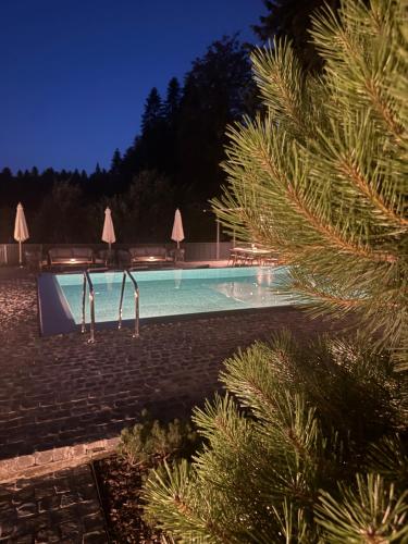 Gallery image of Garden Hill Mitrovac na Tari in Mitrovac